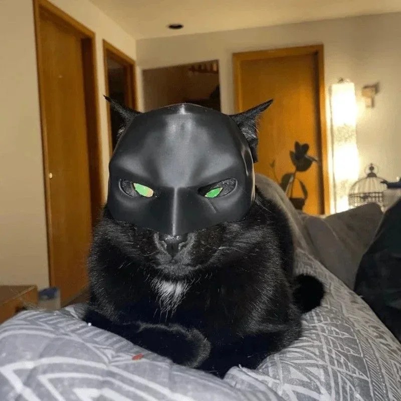 Topeng Kucing Avenger Berkuali - 3D Printing Foto ulasan dan harga