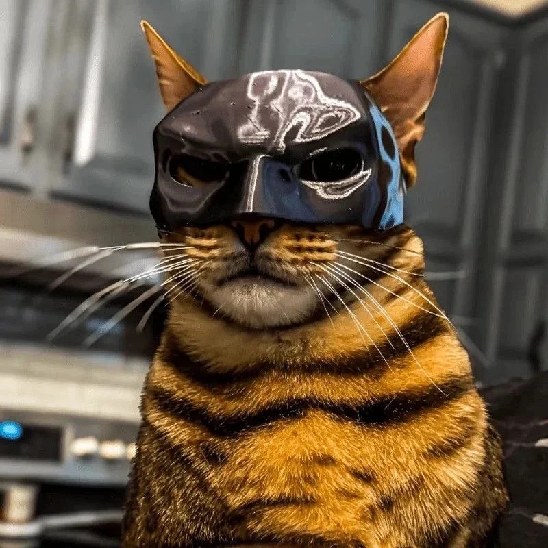 Topeng Kucing Avenger Berkuali - 3D Printing Foto ulasan dan harga