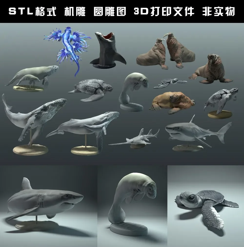 Hewan, beruang kutub, takin, s - 3D Printing File Free ulasan dan harga