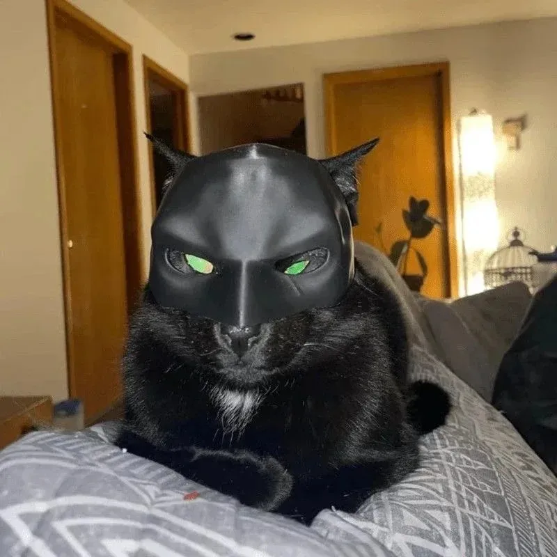 Topeng Kucing Avenger Cetak 3D - 3D Printing Foto ulasan dan harga